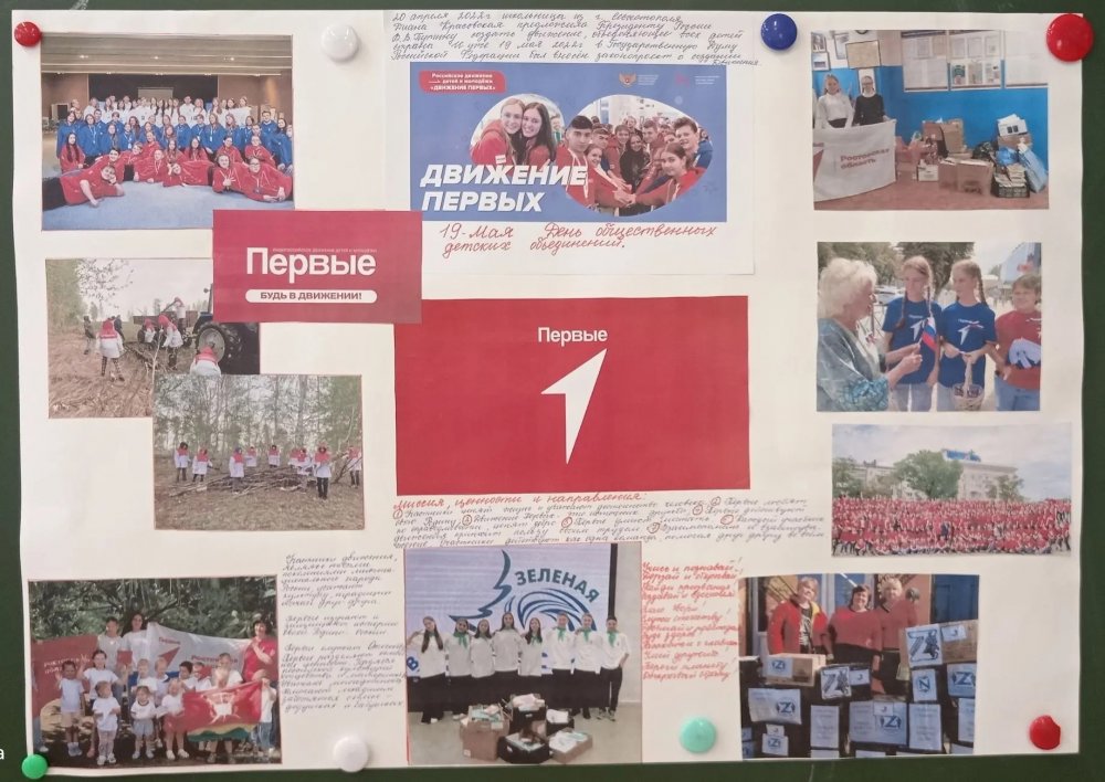 img (7)